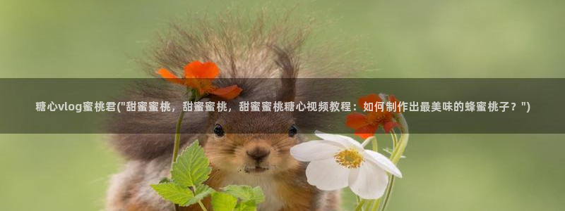 糖心vlog公司：糖心vlog蜜桃君(\