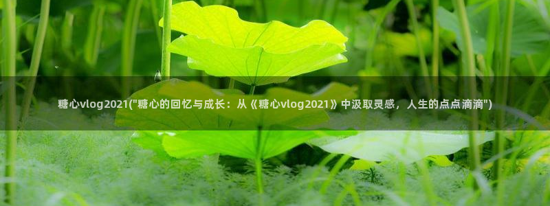 糖心vlog传媒作品集:糖心vlog2021(\