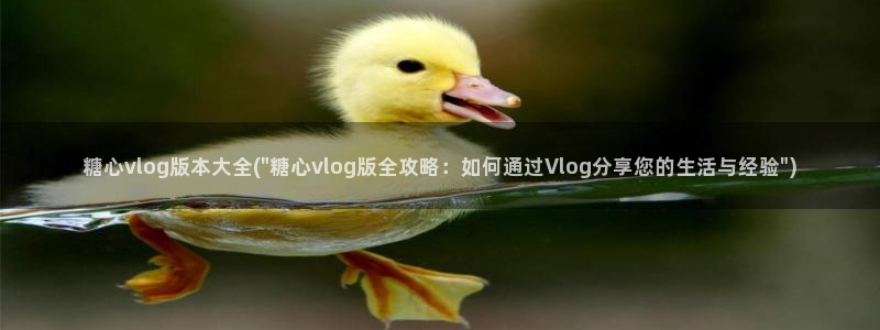 糖心vlog美女直播：糖心vlog版本大全(\