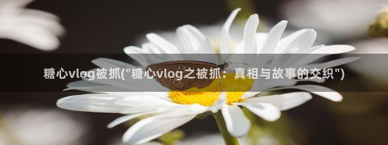 糖心vlog被禁用