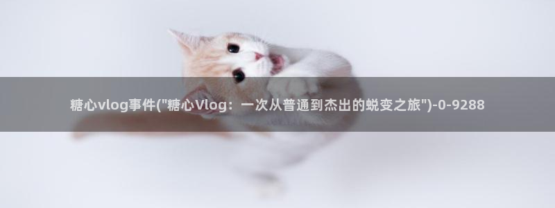 糖心vlog 种子：糖心vlog事件(\