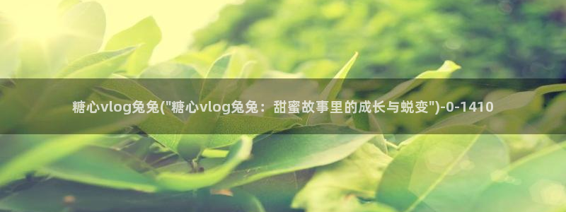 糖心vlog老司机