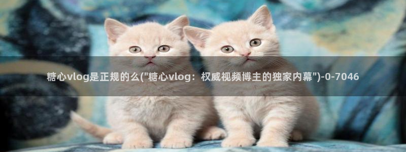 www糖心vlog：糖心vlog是正规的么(\