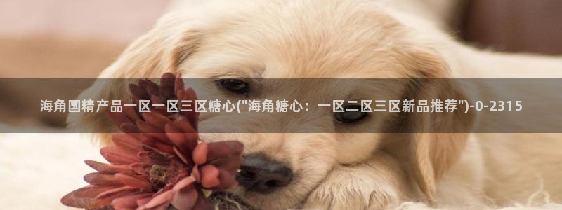 破解糖心vlog：海角国精产品一区一区三区糖心(