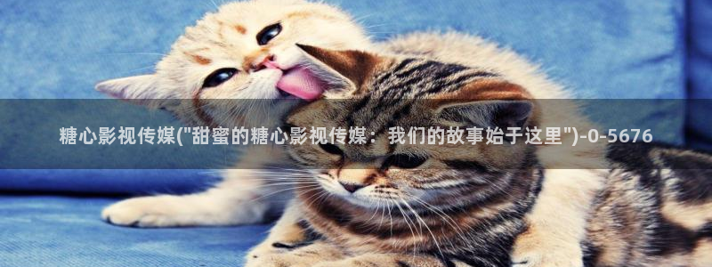 糖心vlog是什么软件：糖心影视传媒(\