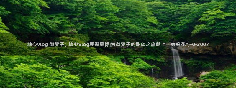 糖心vlog最新版下载：糖心vlog 御梦子(\